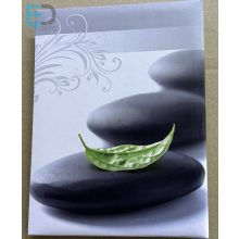 Fotóalbum 10x15cm / 100 kép " Kagyló " bedugdosós, nem kell ragasztani